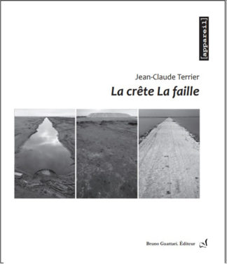 Jean-Claude Terrier -<br>La crête, La faille