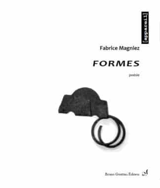 Fabrice Magniez - Formes