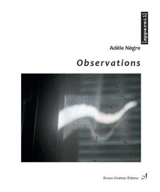 Adèle Nègre - Observations