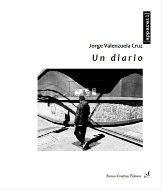 Jorge Valenzuela Cruz - Un diario
