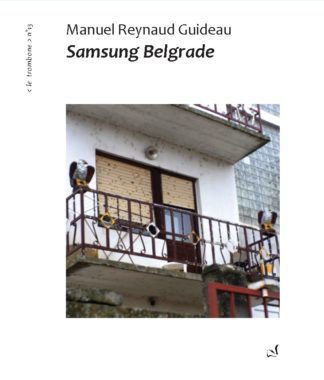 Manuel Reynaud Guideau - Samsung Belgrade